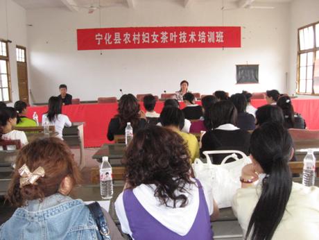 寧化：女茶農忙“充電”