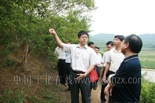 省林業廳廳長助理蘇宗海蒞寧調研油茶產業