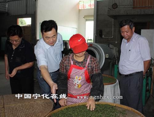 省供銷社主任陳則生到寧化調(diào)研