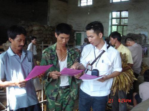 寧化縣煙草局實施“一防兩控”嚴格規范合同收購