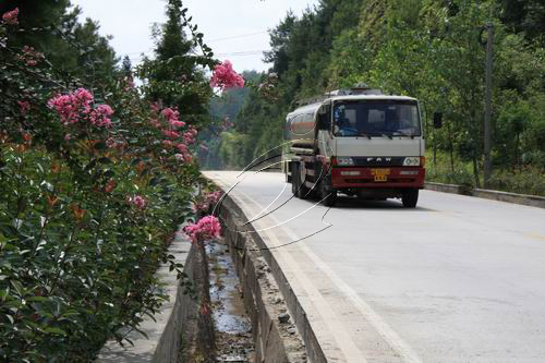 寧化投入480多萬元建成百里“綠色長廊”