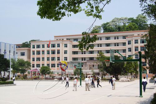 “精彩寧化”：教育事業欣欣向榮