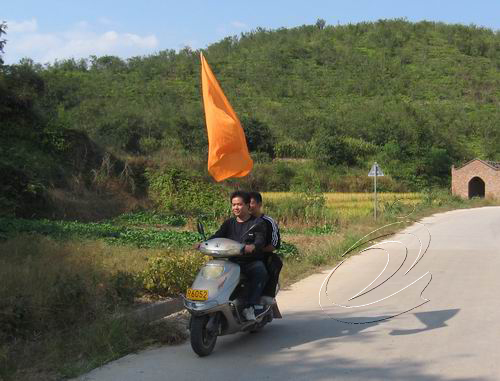 淮土鄉(xiāng)油茶適時采摘成習慣