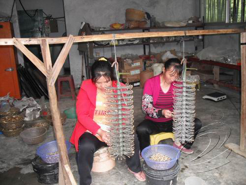 方田鄉(xiāng)計(jì)生“幸福工程”使27位貧困母親脫貧