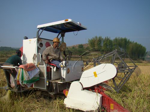 寧化農業155服務中心成了農民致富好幫手