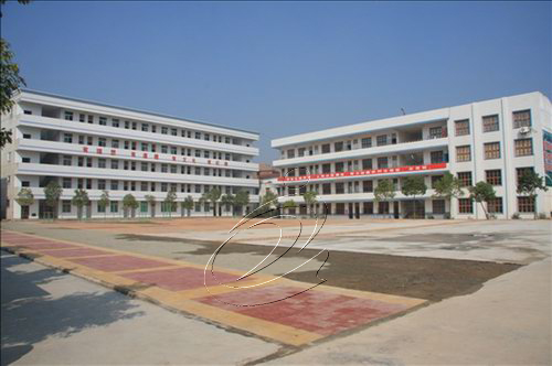 一所農村中學的崛起