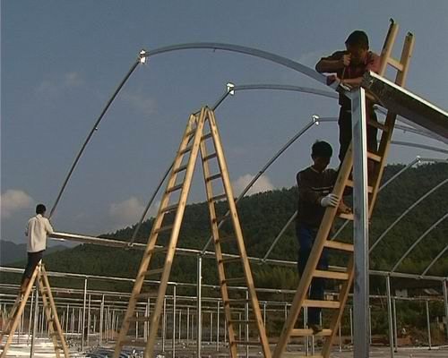 全市最大的溫室育苗工場開工建設(shè)