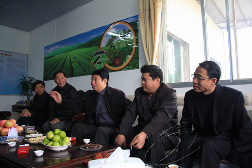 寧化翠云山茶葉專業(yè)合作社掛牌成立