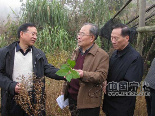 省老科協領導來寧化調研