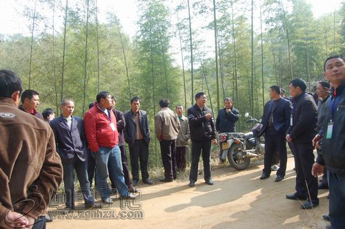 安樂鄉(xiāng)金鑫筍竹專業(yè)合作社揭牌