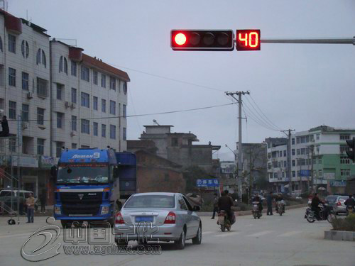 城區“紅綠燈”，你遵守了嗎？