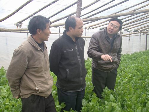 文明單位創建風采⑥：寧化縣特色農業產業初具規模