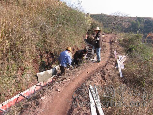 淮土鄉搶抓季節冬修水利
