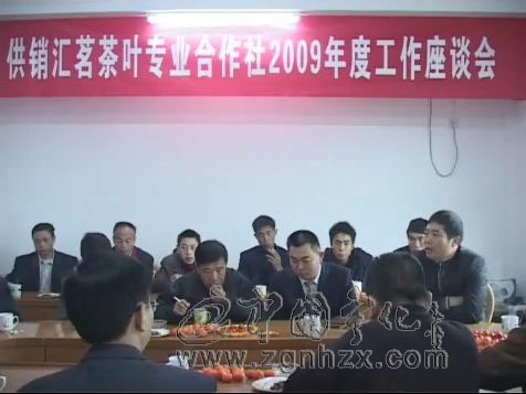 寧化茶葉協會會員交流探討茶葉生產
