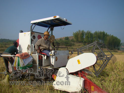 寧化再度蟬聯“全國糧食生產先進縣”