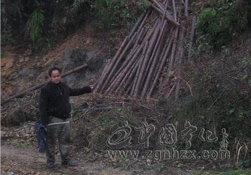 泉上鎮(zhèn)一夫妻盜竊木材被行政拘留