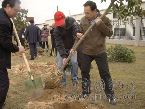 為工業(yè)園區(qū)添綠　寧化縣領(lǐng)導(dǎo)參加義務(wù)植樹