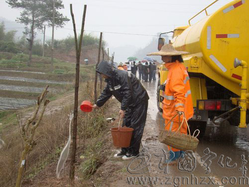 寧化30余網(wǎng)友為“綠色長廊”添新綠