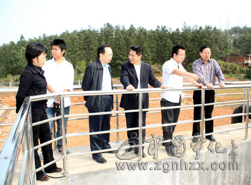 市督查調研組來寧開展項目督查調研