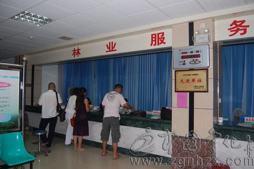 寧化林業局行政服務工作榮獲“三連冠”