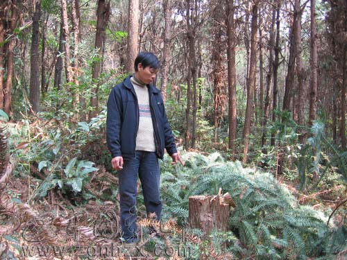 魚龍森林派出所查獲一起團(tuán)伙盜伐國(guó)有林木案