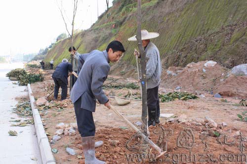 寧化縣超額完成造林任務(wù)