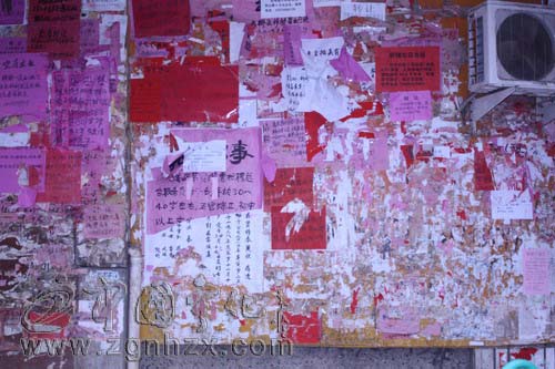 文明縣城評選在即  “牛皮癬”有礙測評