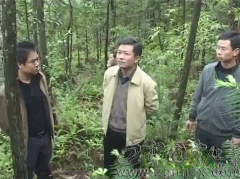 楊永生到安樂指導地質災害防治工作