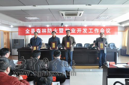寧化森林防火暨竹業開發工作會議召開