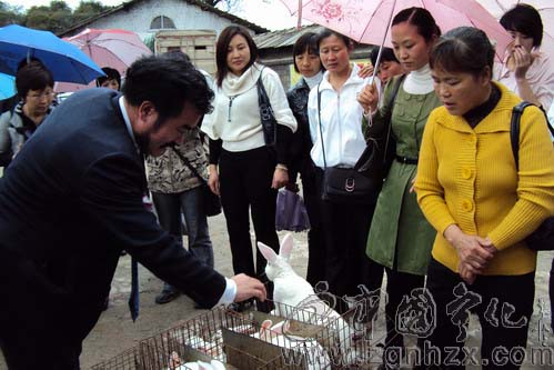 寧化農村婦女獺兔養殖技術培訓基地掛牌成立