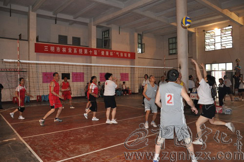 三明市林業系統氣排球賽在寧化舉行