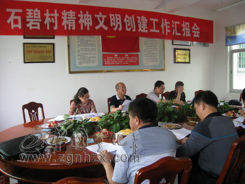 省考評組來寧開展全國文明村屆中復(fù)查