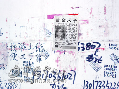 翠城出現(xiàn)“重金求子”廣告　市民須防受騙