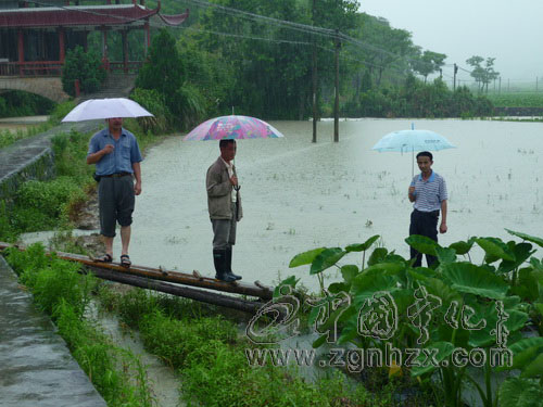 泉上鎮(zhèn)啟動(dòng)防汛預(yù)案迎戰(zhàn)“端午水”