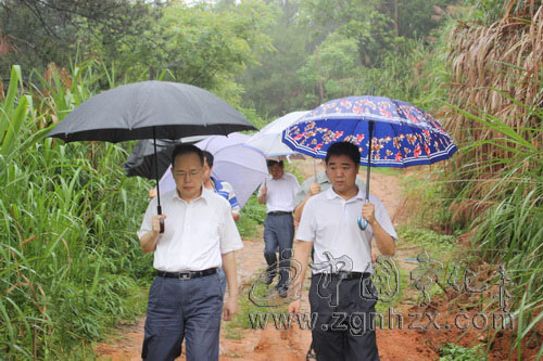 寧化全力抓好防汛抗災(zāi)工作