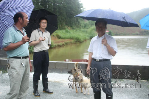 楊永生深入翠江鎮檢查指導防汛抗災工作