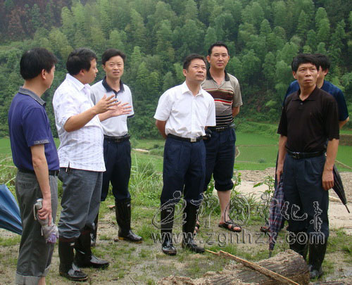 楊永生深入濟(jì)村方田檢查抗災(zāi)救災(zāi)工作