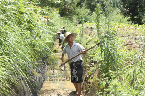 橋下水庫修復灌渠保災后生產