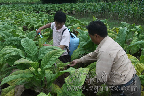 先鋒譜⑽：我們在一起，如此堅強
