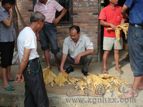 先鋒譜⑾：一種責(zé)任  兩份牽掛