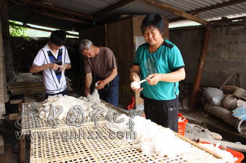 鄉(xiāng)官“脫鞋下田” 帶頭種竹蓀