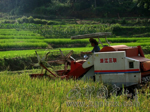 寧化4.5萬(wàn)畝早稻開(kāi)“機(jī)”收割