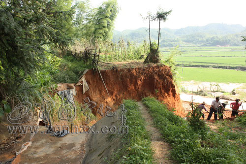 樓家村群眾義務修村道