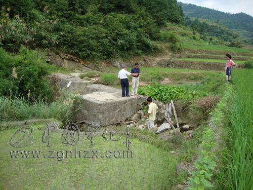 寧化恢復(fù)灌溉面積10萬余畝