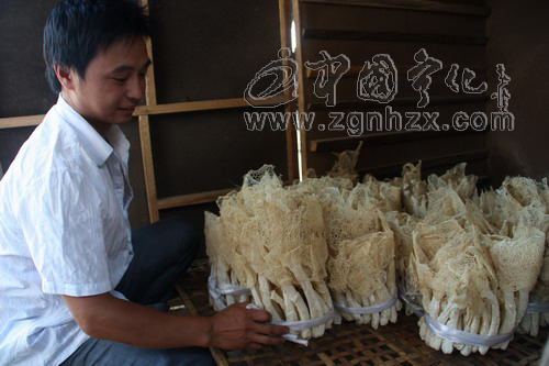 “計生干部助我走上致富路”