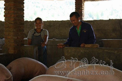 獨女戶謝銀水：返鄉當起“豬司令”