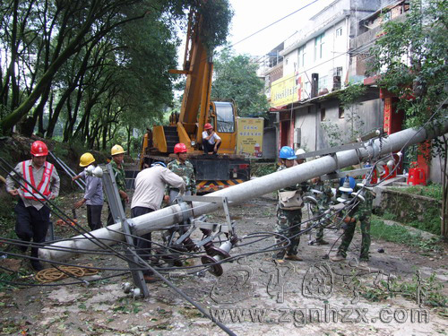 寧化：狂風吹倒大樹壓斷電桿　連夜搶修恢復供電