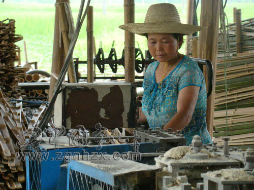 鄧月香：“是幸福工程給我幸福的家”