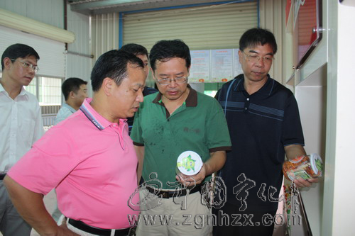 市督查組來寧檢查《綱要》實施情況