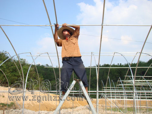 曹坊鄉(xiāng)綠苑農(nóng)莊完成投資500萬元